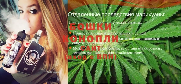 сатива Алексин